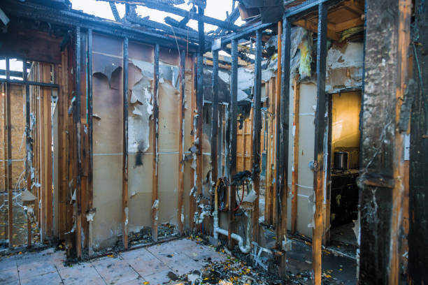 Professional Smoke Damage Removal technician working in Hawaiian Ocean View, HI